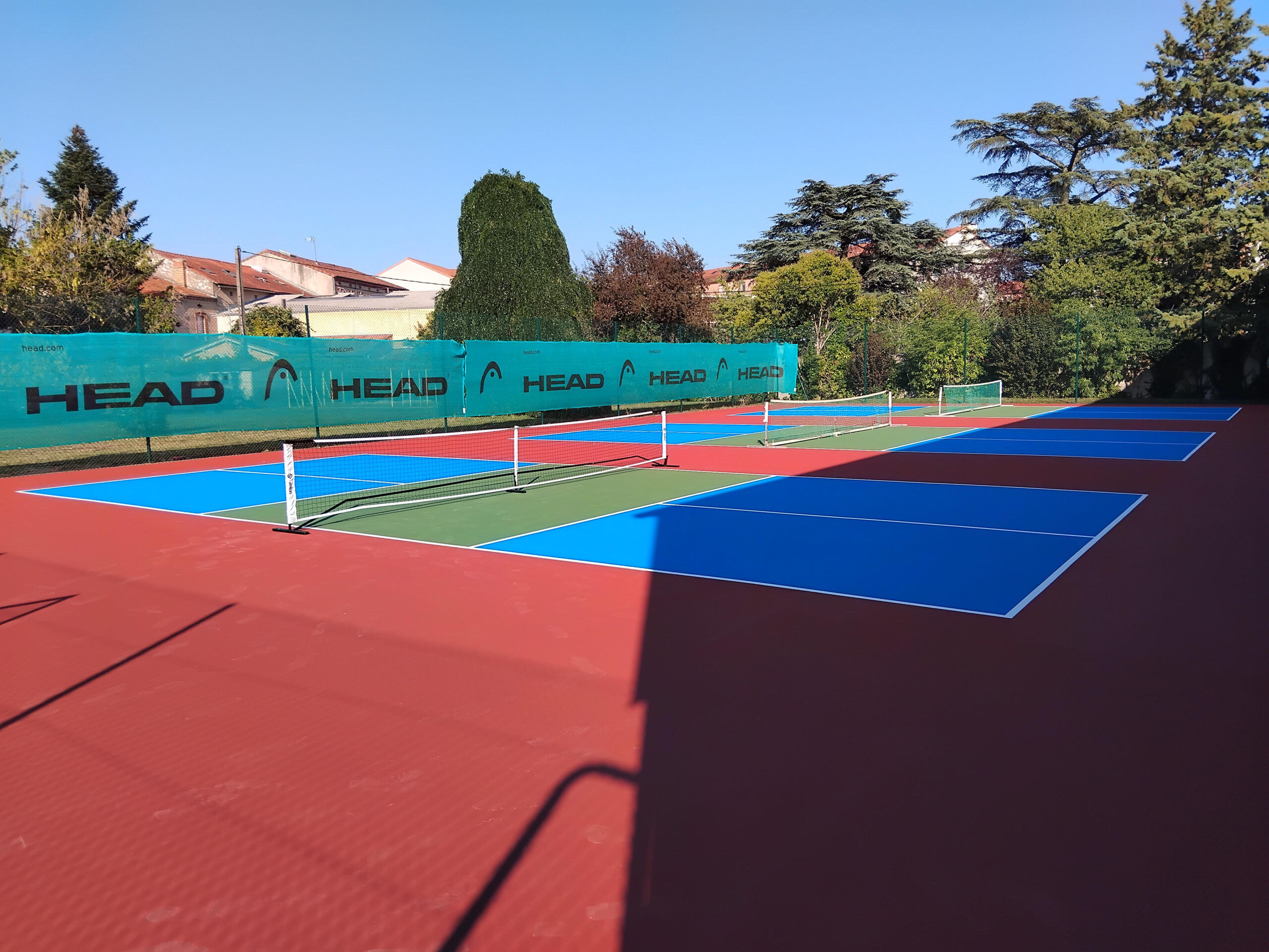pickleball usspa albi